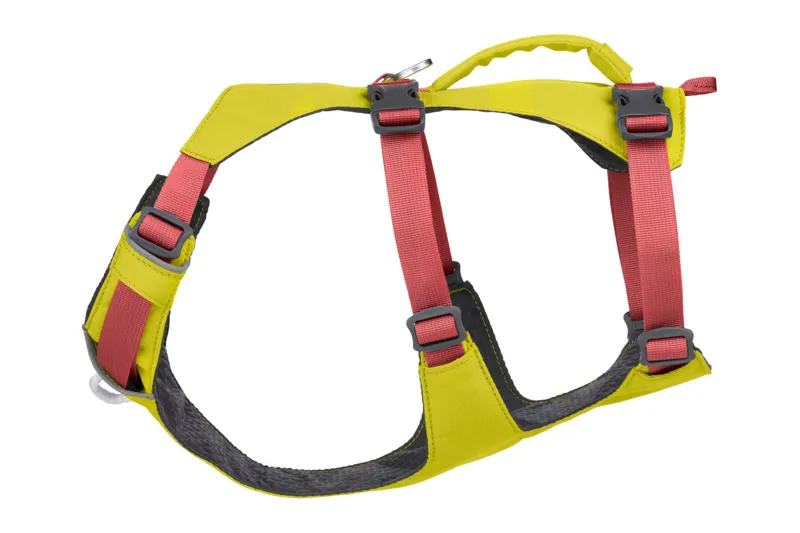 Ruffwear Flagline Dog Harness in Lichen Green-2